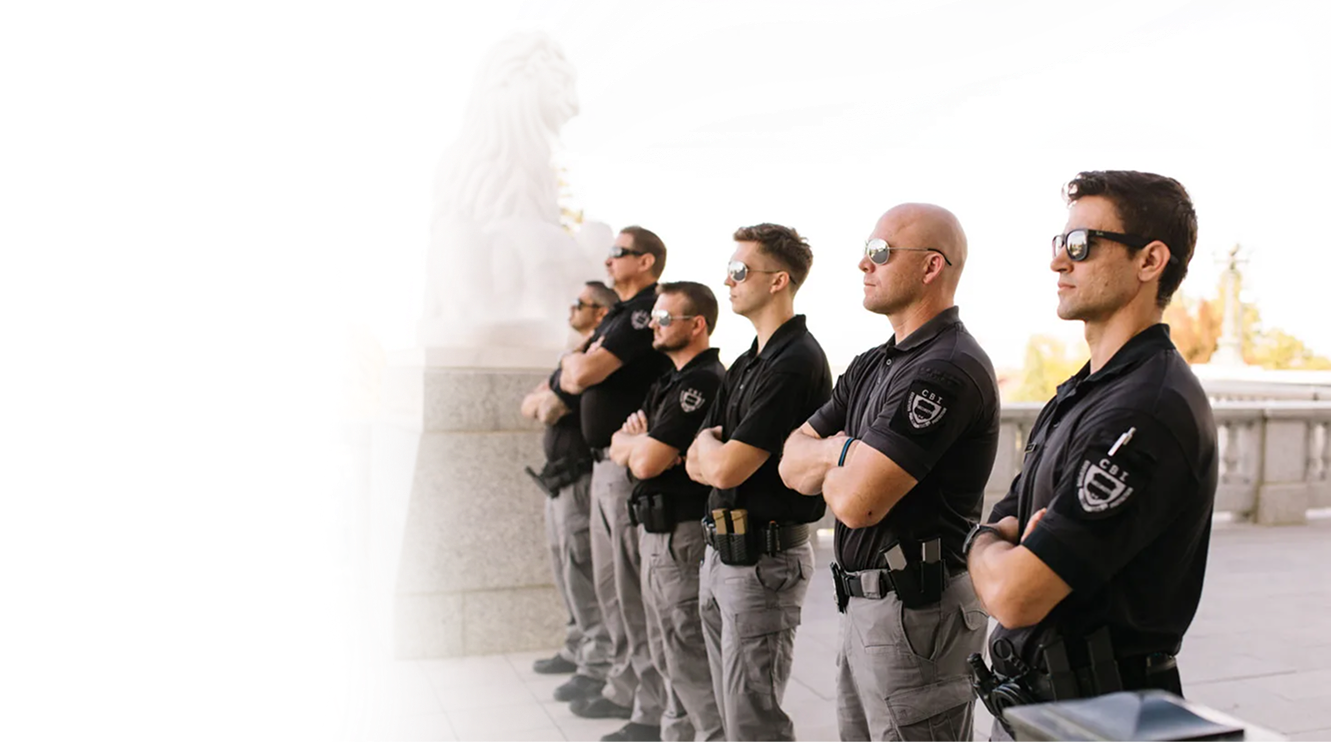 Security Professionals